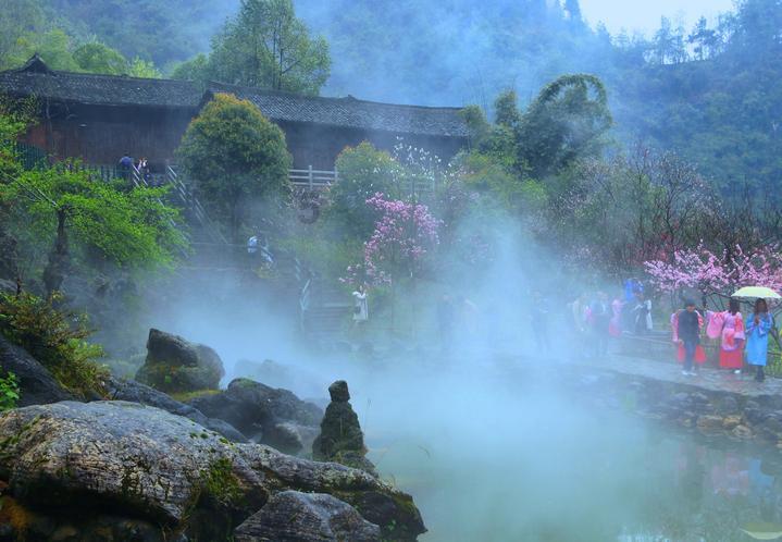 扎小辫的富婆龚如心：丈夫失踪，被风水师骗，400亿遗产无人继承